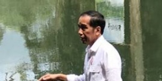 Jokowi Akan Tinjau Proyek Pengendali Banjir dan Bagikan Sertifikat Tanah di Blitar