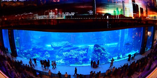 Melihat Akuarium Dalam Mal Terbesar di Dunia