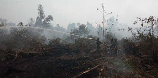 7 Titik Panas Terdeteksi di Wilayah Pesisir Riau