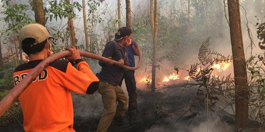 Dalam Satu Pekan, 55 Hektare Hutan & Lahan di Riau Terbakar