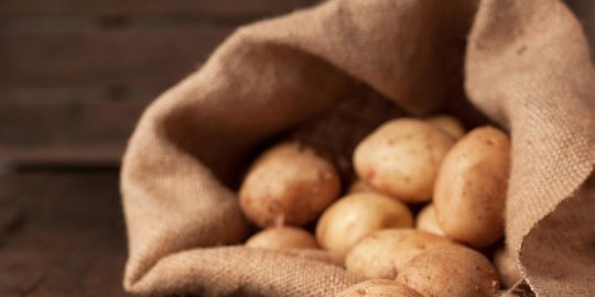 6 bahan untuk menghilangkan bekas luka bakar secara alami