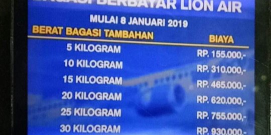 Harga Bagasi Lion Air Capai Rp 930 000 Untuk Penerbangan 3 