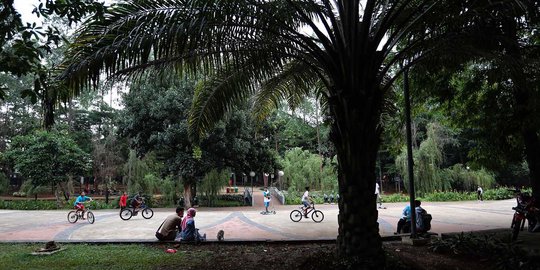 DPRD Usul Pemprov DKI Gandeng CSR Perusahaan Buat Revitalisasi Lima Taman
