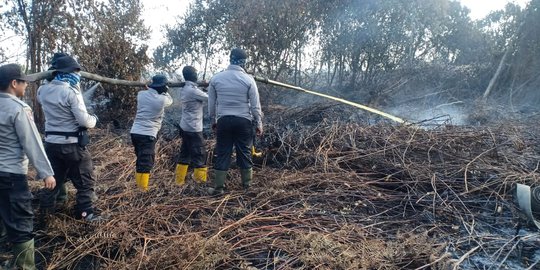 3 Hektare Lahan di Dumai Habis Terbakar Karena Puntung Rokok, Pelaku Diamankan