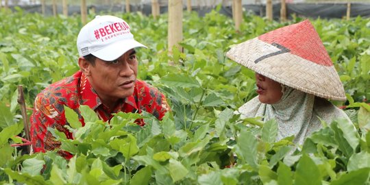 Dorong Citarum Harum, Mentan Bantu 3 Juta Batang Bibit Kopi