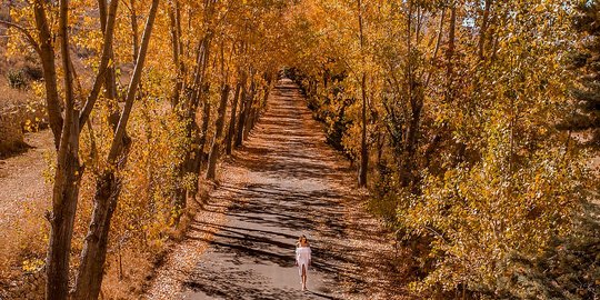 Keindahan Lebanon dari Balik Lensa, Jauh Lebih Indah daripada Reputasinya