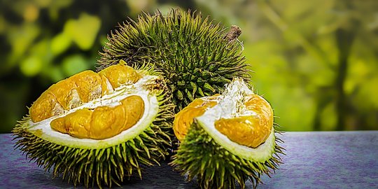 Sopir Angkot di Tangerang Tewas Usai Pesta Durian