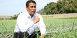Jalankan Perintah Jokowi, Mentan Amran Siapkan Satu Juta Ekor Ayam untuk Santri