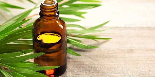 teh tea tree oil rev7