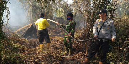 Program Pembasahan Gambut Diklaim Kurangi Kebakaran Hutan