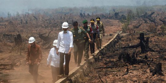 Debat Capres Kedua, Kubu Jokowi Siapkan Materi Keberhasilan Atasi Kebakaran Hutan