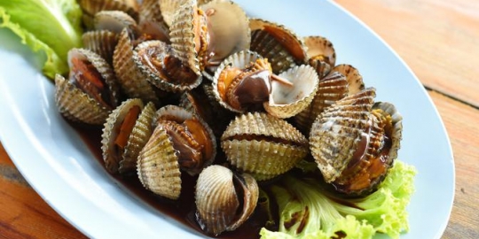 Cara Membuat Kerang Dara Saus Tiram yang Lezat untuk Makan Siang