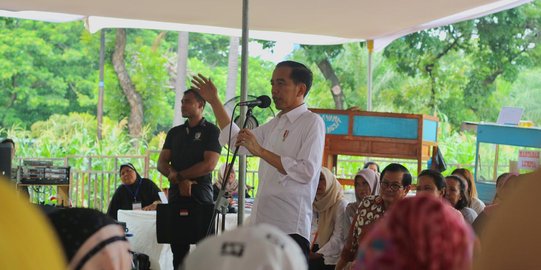 Ditemani Gibran, Jokowi Panen Raya Udang di Muara Gembong