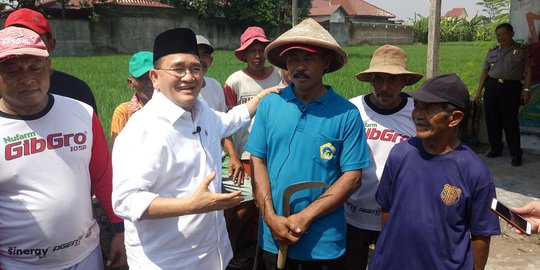 Temui Petani Cek Kabar Beras Impor di Klaten, Ruhut Sebut Ucapan Prabowo Hoaks