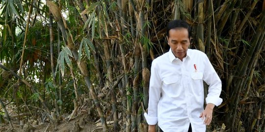 Jokowi Beri Sambungan Listrik Gratis ke 309 Rumah di Muara Gembong