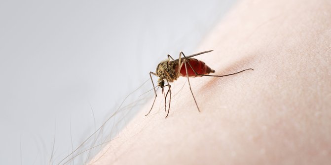 Wabah Demam Berdarah Dengue Muncul Karena Perilaku Masyarakat yang Acuh