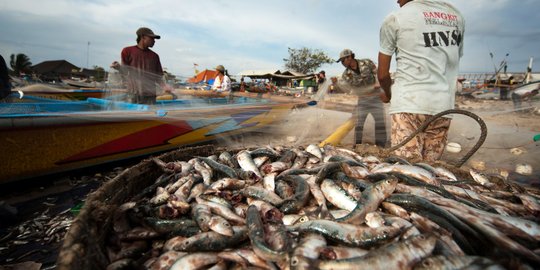 KKP Tepis Isu Hoaks soal Ikan Makan Tubuh Korban Tsunami