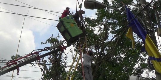 Pekerja Trans Kalimantan Ditemukan Tewas Tergantung di Kabel Sutet