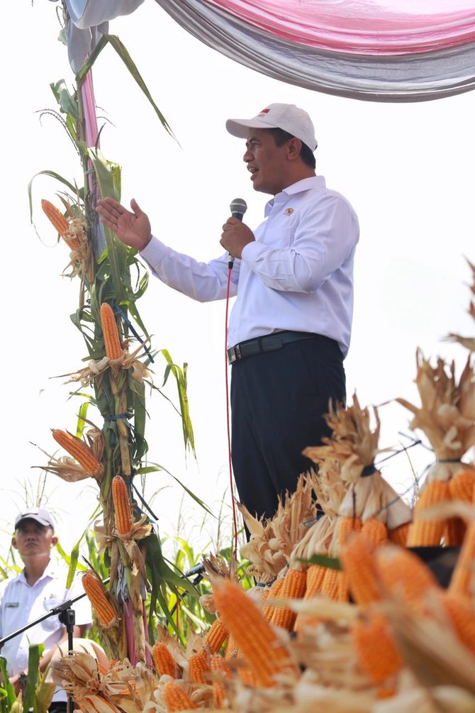 mentan andi amran sulaiman menghadiri acara panen raya jagung di kabupaten lamongan