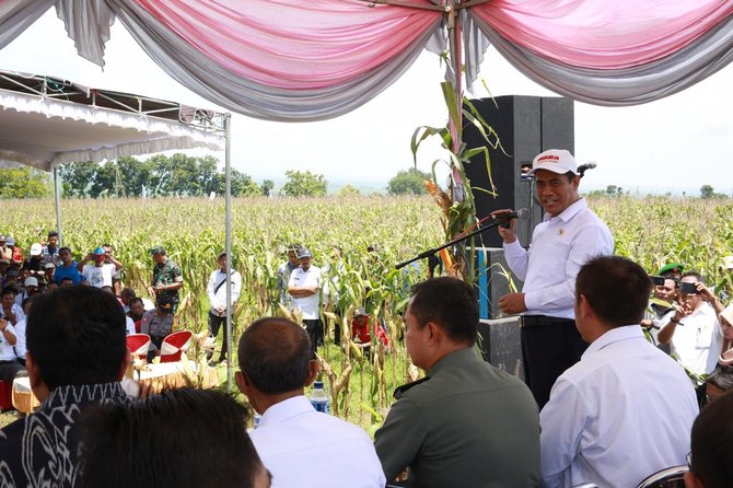 mentan andi amran sulaiman menghadiri acara panen raya jagung di kabupaten lamongan