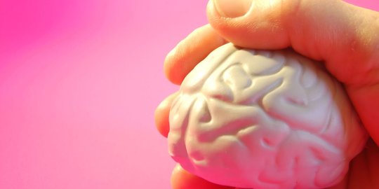 Berdasar Penelitian, Otak wanita Ternyata Lebih lambat Menua Dibanding Pria