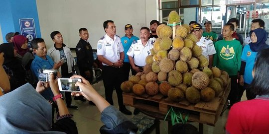 Penumpang Bus di Terminal Tirtonadi Berebut Ratusan Durian Gratis