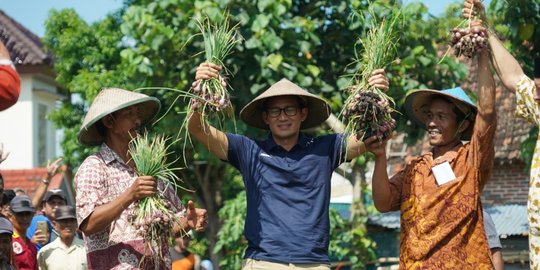 Cara Sandiaga Stabilkan Harga Bawang Saat Panen