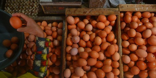 Stok Melimpah, Harga Daging dan Telur Ayam Turun di Pasar Jakarta