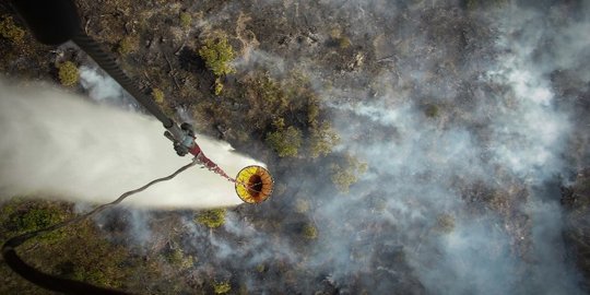 Sejak Awal 2019, 267 Hektare Hutan dan Lahan di Riau Terbakar