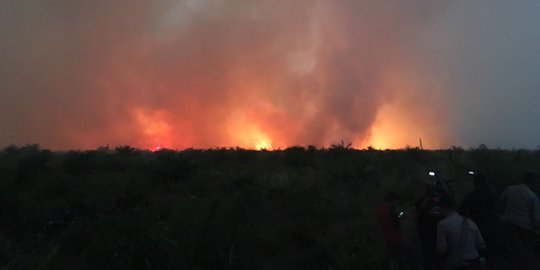 BMKG Catat Ada 11 Titik Panas Terindikasi Kebakaran Hutan di Riau