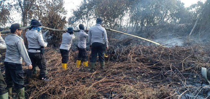 pemadaman kebakaran hutan di rokan hilir