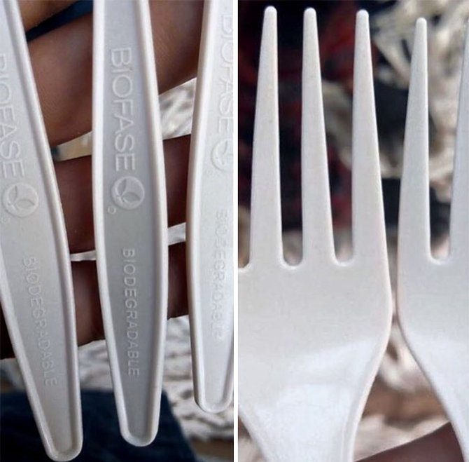 peralatan makan dari biji avokad