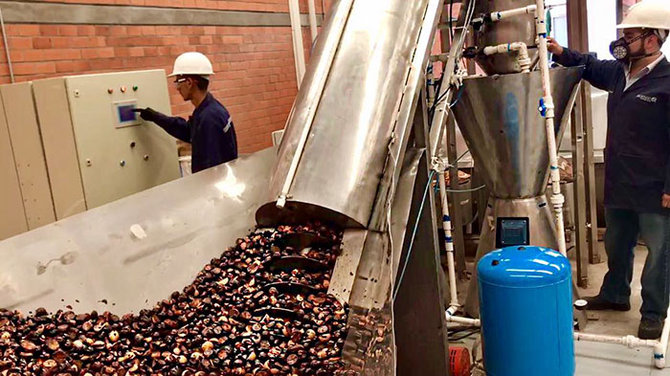 peralatan makan dari biji avokad