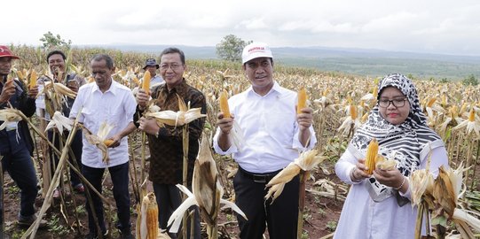 Menteri Amran Saksikan Banjir Jagung di Tuban