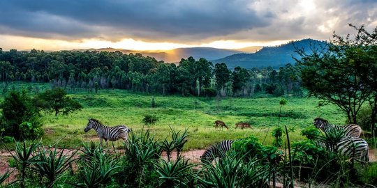 5 negara pernah berganti nama, inilah penyebabnya