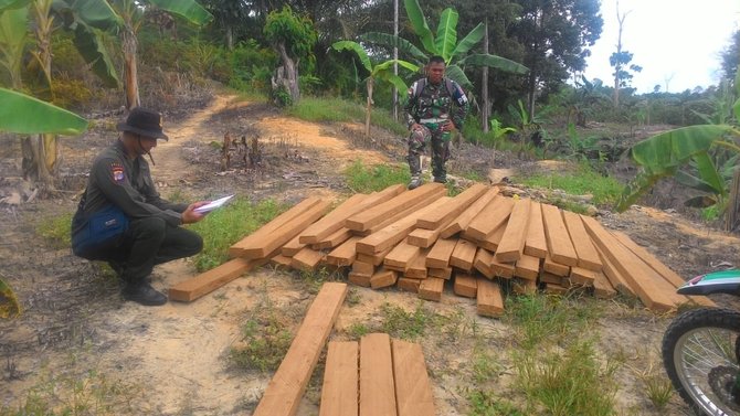 TNI di Perbatasan Malaysia Sita 7 Kubik Kayu  Bengkirai 