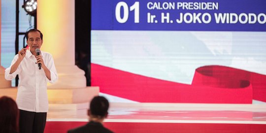 Cek Fakta, Benarkah Tak Ada Kebakaran Hutan Tiga Tahun Terakhir Seperti Kata Jokowi?