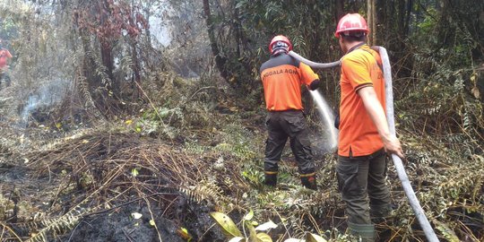 Tim Satgas Padamkan Kebakaran Lahan, Kualitas Udara di Kota Dumai Membaik