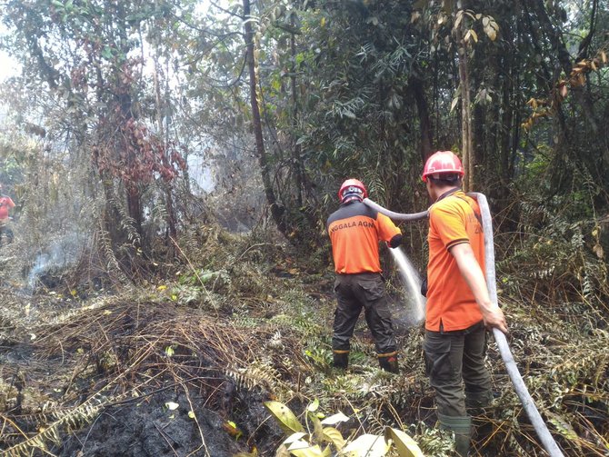 petugas padamkan kebakaran lahan di kota dumai