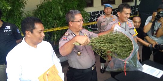 3 Tersangka Tanam Ganja di Lahan Perhutani Sekitar Waduk Jatiluhur