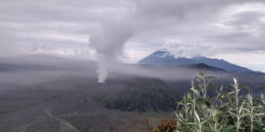 Gunung Bromo Erupsi, Wisatawan Dilarang Mendekati Kawah