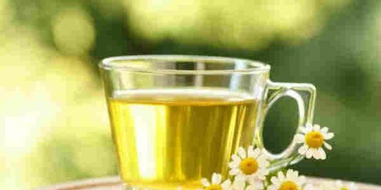 chamomile tea rev1