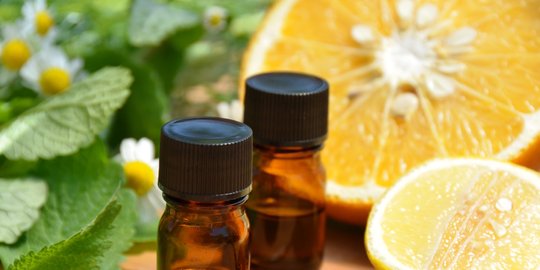 dengan lemon oil rev1
