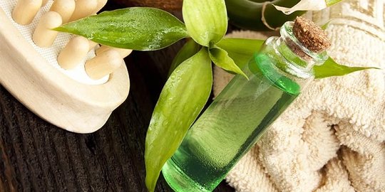 dengan tea tree oil rev1