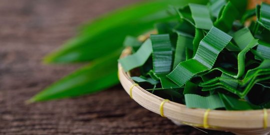 Pandan dan Mengkudu, Duo Penghitam Rambut Alami