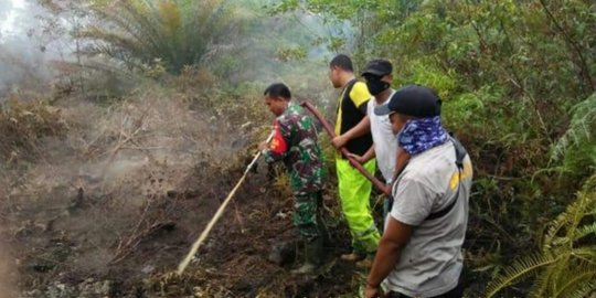 Lahan 8 Hektare Milik 4 Petani Dumai Terbakar