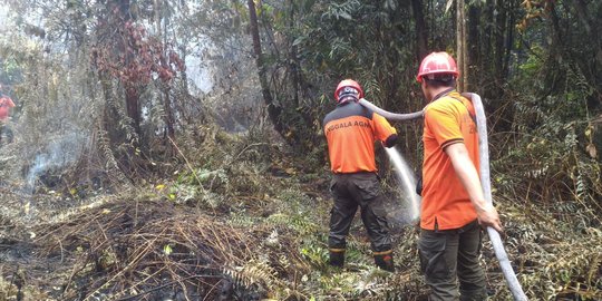 Pemprov Riau Tetapkan Status Siaga Darurat Karhutla Hingga Oktober 2019