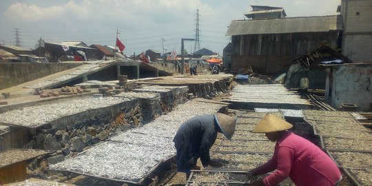 Menengok Kehidupan Warga Kampung Tambak Lorok Dikunjungi Jokowi Malam Hari