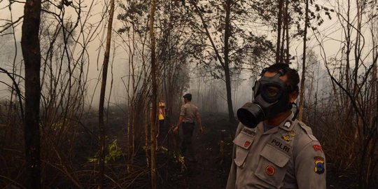 PKB Dukung Jokowi Tegakkan Hukum Terhadap Perusak Lingkungan