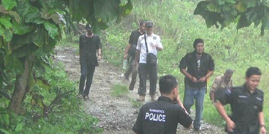 Polisi Telusuri Hutan di Karawang Cari Ladang Ganja Seluas 5 Hektare